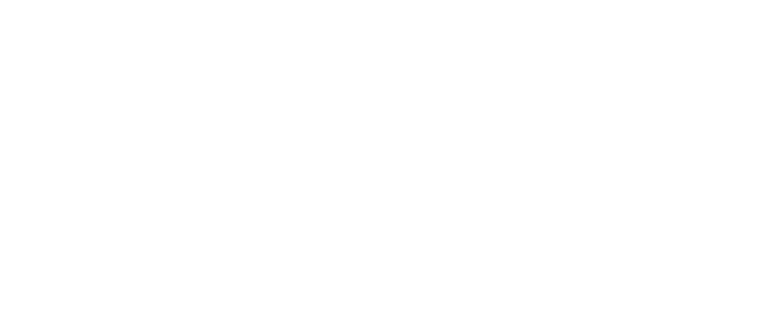 Webdesign mit WordPress