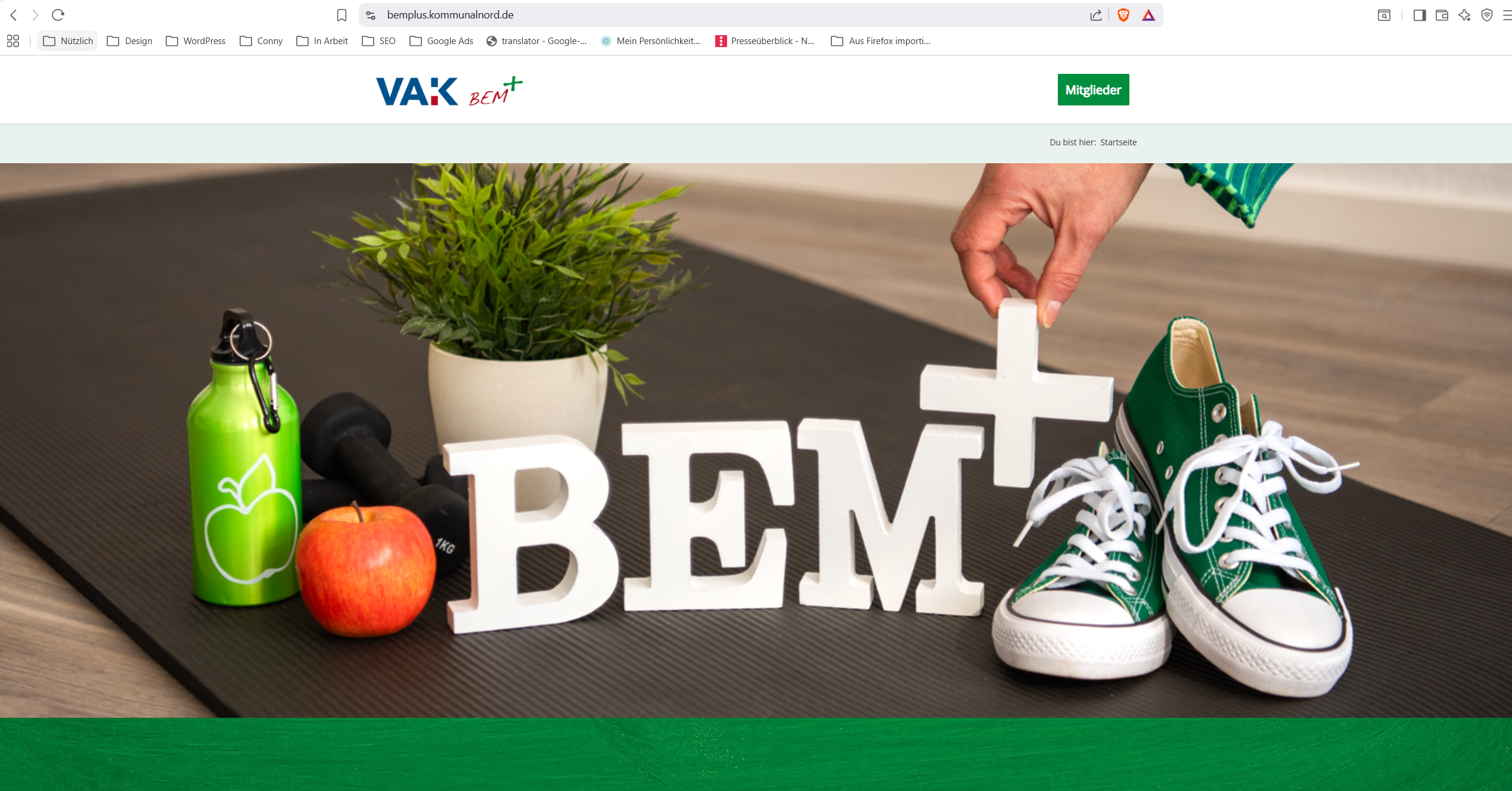 Symbolbild Website BEM+ Screenshot der Startseite des BEM+
